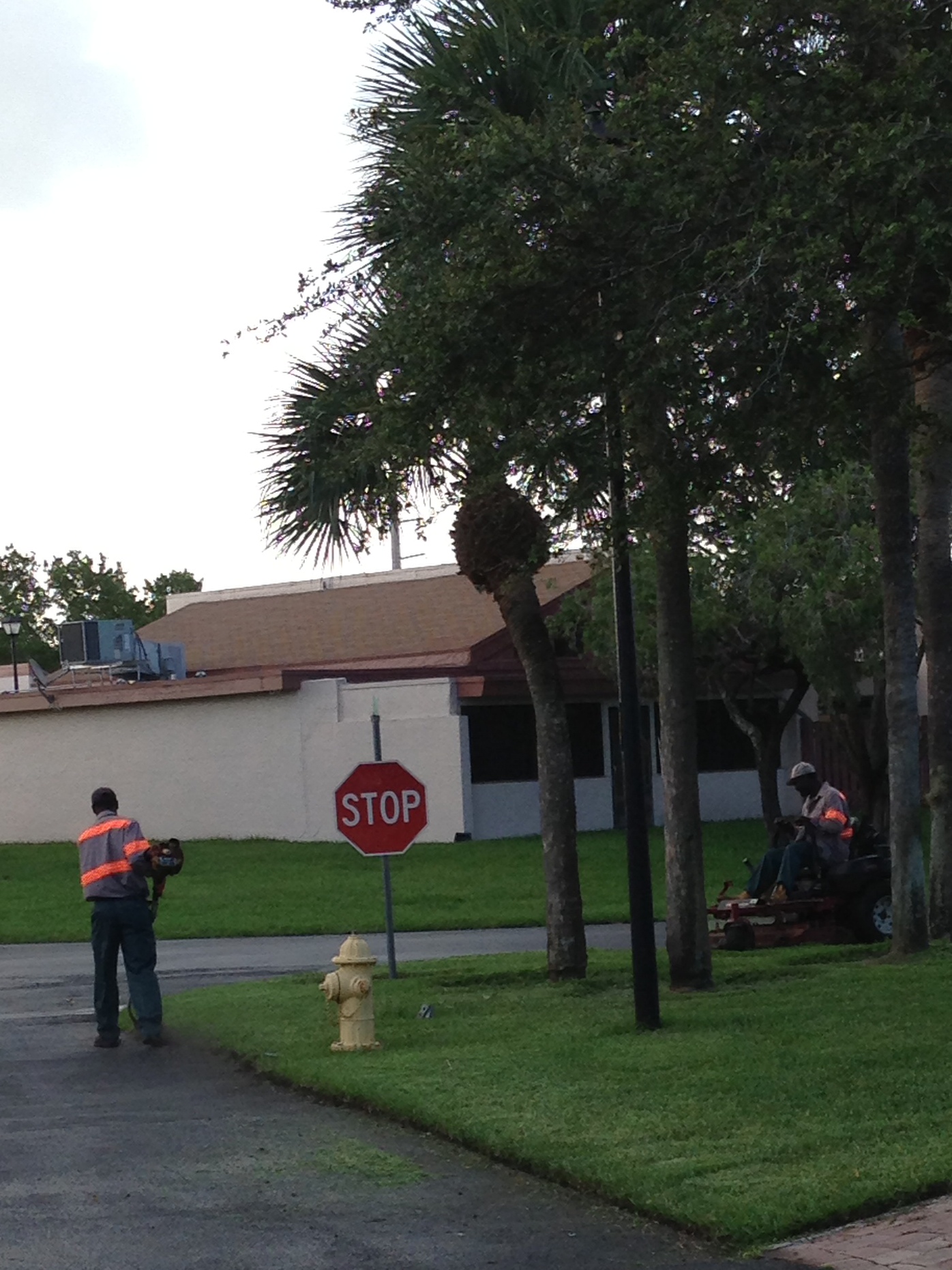 The Company - Adrian Tree Service, Arborist and Landscaping Services
