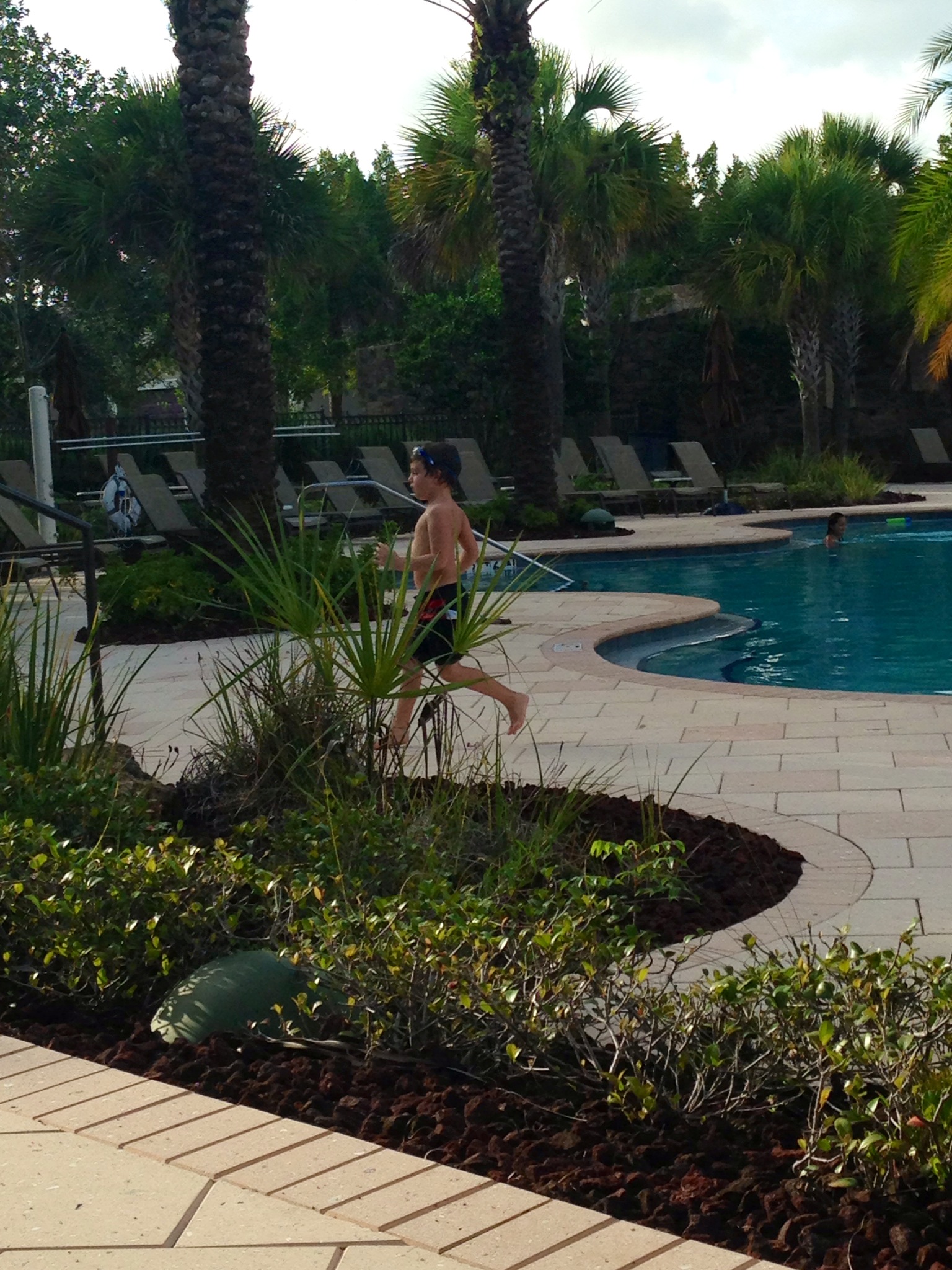 The Company - Adrian Tree Service, Arborist and Landscaping Services