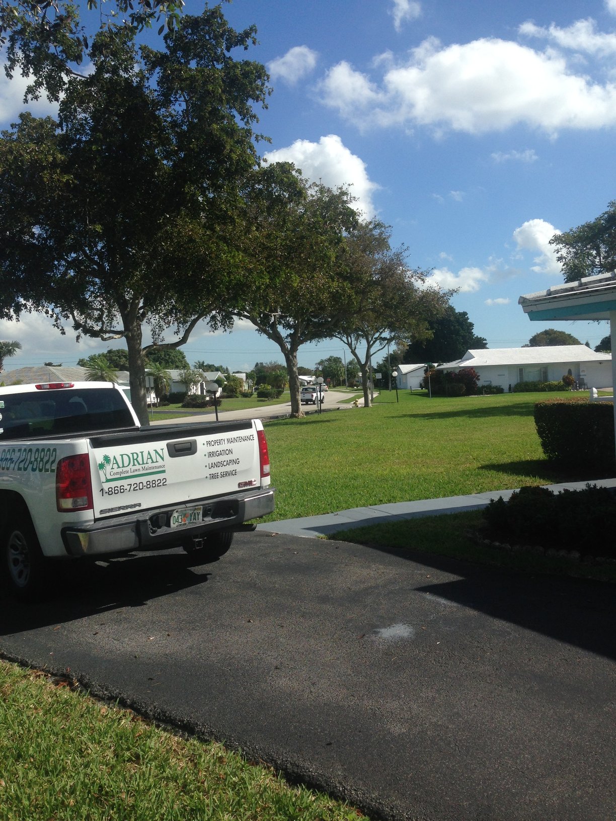 The Company - Adrian Tree Service, Arborist and Landscaping Services